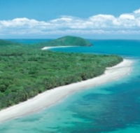 Reef and Rainforest Connections - Holiday Cairns