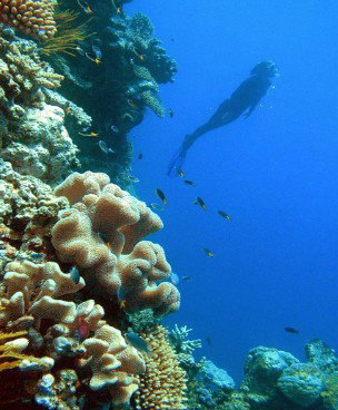 Kamerunga QLD Holiday Cairns