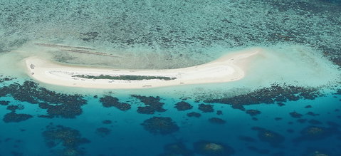Seastar Cruises - Holiday Cairns 3