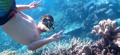 Seastar Cruises - Holiday Cairns 4