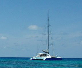 Synergy Reef Sailing - Holiday Cairns 5