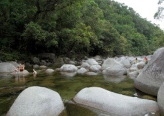 Tropical Horizons Tours - Holiday Cairns 0