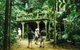 Tropical Horizons Tours - thumb 1