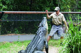 Tropical Horizons Tours - Holiday Cairns 4