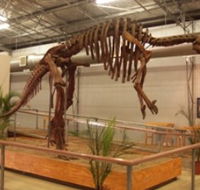 Australia's Dinosaur Trail - Holiday Cairns