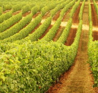 Wignalls Winery - Holiday Cairns