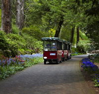 Araluen Botanic Park - Holiday Cairns