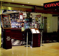 Cervo - Holiday Cairns