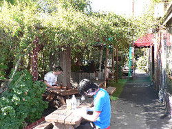 Blackcat - Holiday Cairns 3