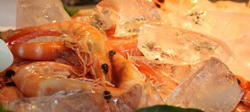 Centrepoint Buffet - Holiday Cairns 1