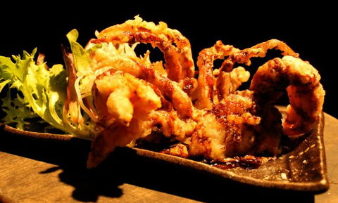 O'Sushi Japanese Restaurant - Holiday Cairns 3