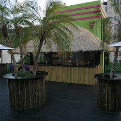The Carlton  - Holiday Cairns 3