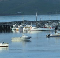 The Apollo Bay Hotel - Holiday Cairns
