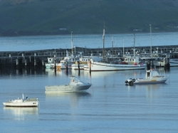 The Apollo Bay Hotel - Holiday Cairns 0