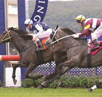 Gosford Race Club - Holiday Cairns
