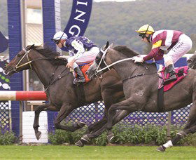 Gosford Race Club - Holiday Cairns 0