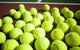 Old Bar Tennis Club - thumb 0