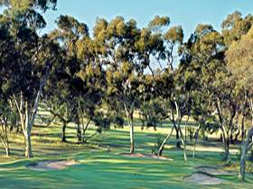 Tanunda Pines Golf Club - Holiday Cairns 0
