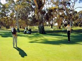 Tanunda Pines Golf Club - Holiday Cairns 1