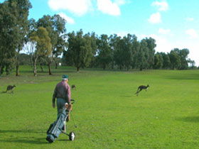 Coffin Bay Golf Club - Holiday Cairns 0
