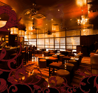 Hippo Lounge Bar - Holiday Cairns