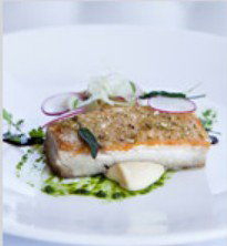 PJ's Irish Sports Bar & Bistro @ The Criterion Hotel - Holiday Cairns 0