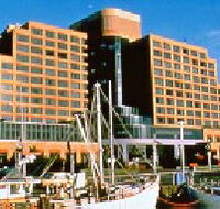 The Atrium Bar - Holiday Cairns