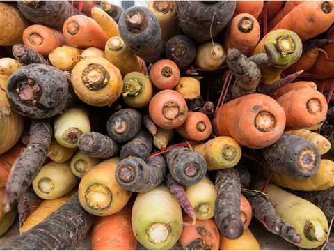 Alphington Farmers' Market - Holiday Cairns 2