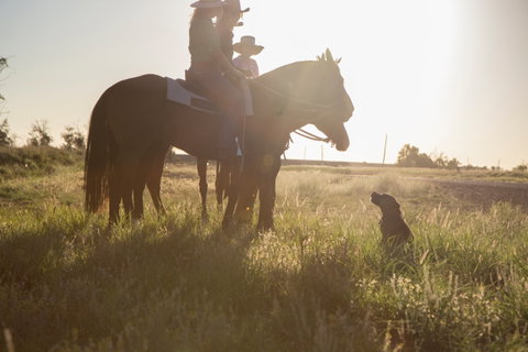 Balonne Cutting Horse Futurity - Holiday Cairns 0