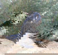 Bathurst Arts Trail - Holiday Cairns