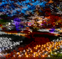 Canberra Nara Candle Festival - Holiday Cairns