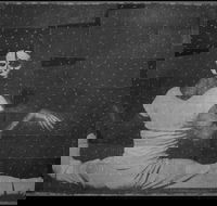 David Noonan Stagecraft - Holiday Cairns