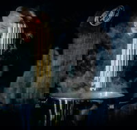 Experience 3  Pasta Making and Lunch with the DiGiorgio Family