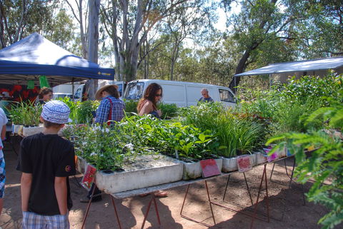 Fernvale Country Markets - Holiday Cairns 1