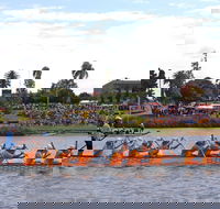 Jacaranda Dragon Boat Races - Holiday Cairns