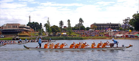 Jacaranda Dragon Boat Races - Holiday Cairns 0