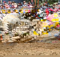 Jindabyne's Man From Snowy River Rodeo - Holiday Cairns
