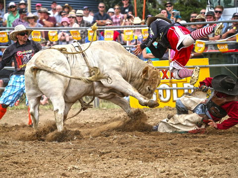 Jindabyne's Man From Snowy River Rodeo - Holiday Cairns 0