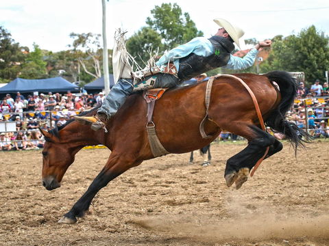 Jindabyne's Man From Snowy River Rodeo - Holiday Cairns 1