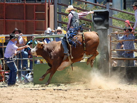 Jindabyne's Man From Snowy River Rodeo - Holiday Cairns 2