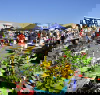 Maclean Community Monthly Markets - Holiday Cairns