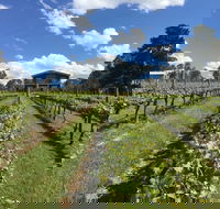 Mortimer's Diploma of Taste - Holiday Cairns