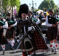 Regional Australia Bank Inverell Sapphire City Festival - Holiday Cairns