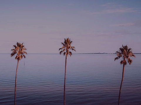 Sunset Streaming Live DJ Streams - Holiday Cairns 0