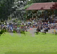 Tumut Derby Day - Holiday Cairns
