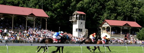 Tumut Derby Day - Holiday Cairns 1