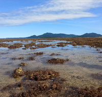 Walk to the Reef - Holiday Cairns