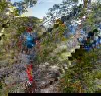 Wild Earth Coastal High 50 - Holiday Cairns