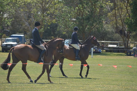 Yankalilla Show - Holiday Cairns 2