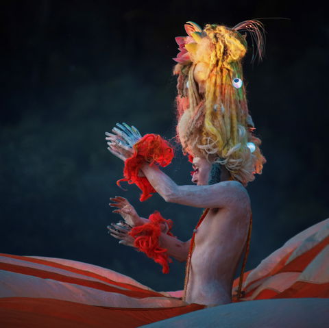 Yonder Festival 2020 - Holiday Cairns 2